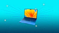 blue laptop showing a yellow flower on screen against a teal background