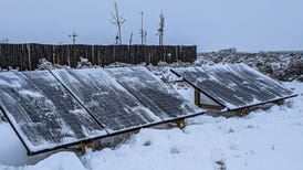 Ground mounted solar panels in the snow.