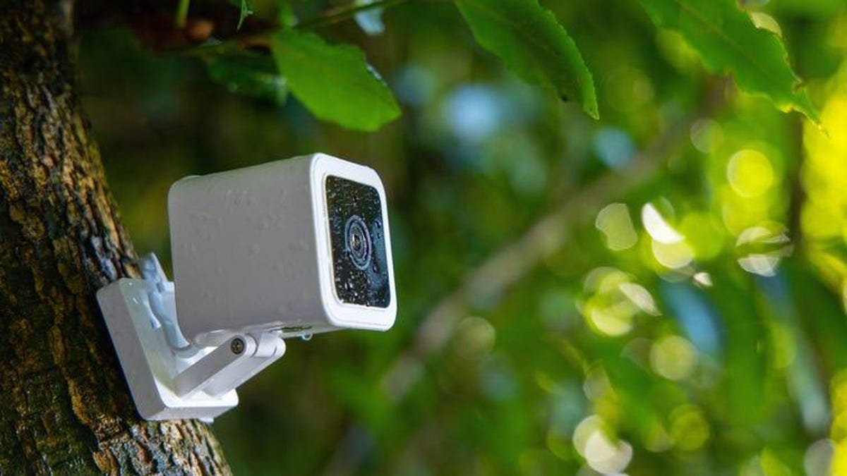 wyze camera fixed to tree